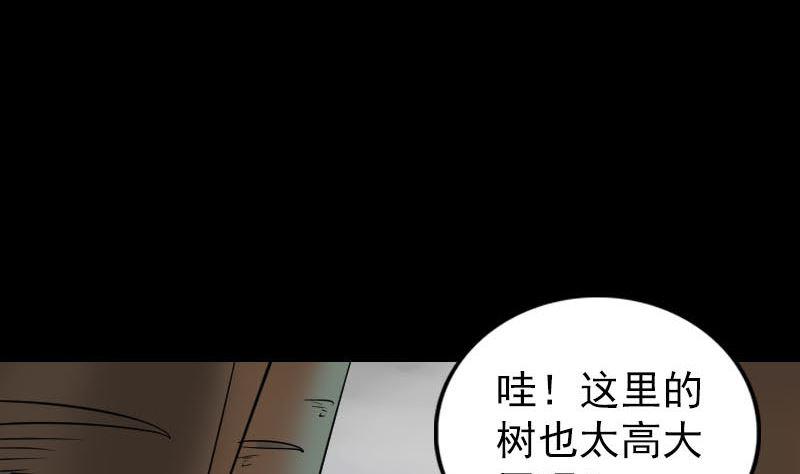 天降横祸韩漫全集-第339话 奇遇无删减无遮挡章节图片 