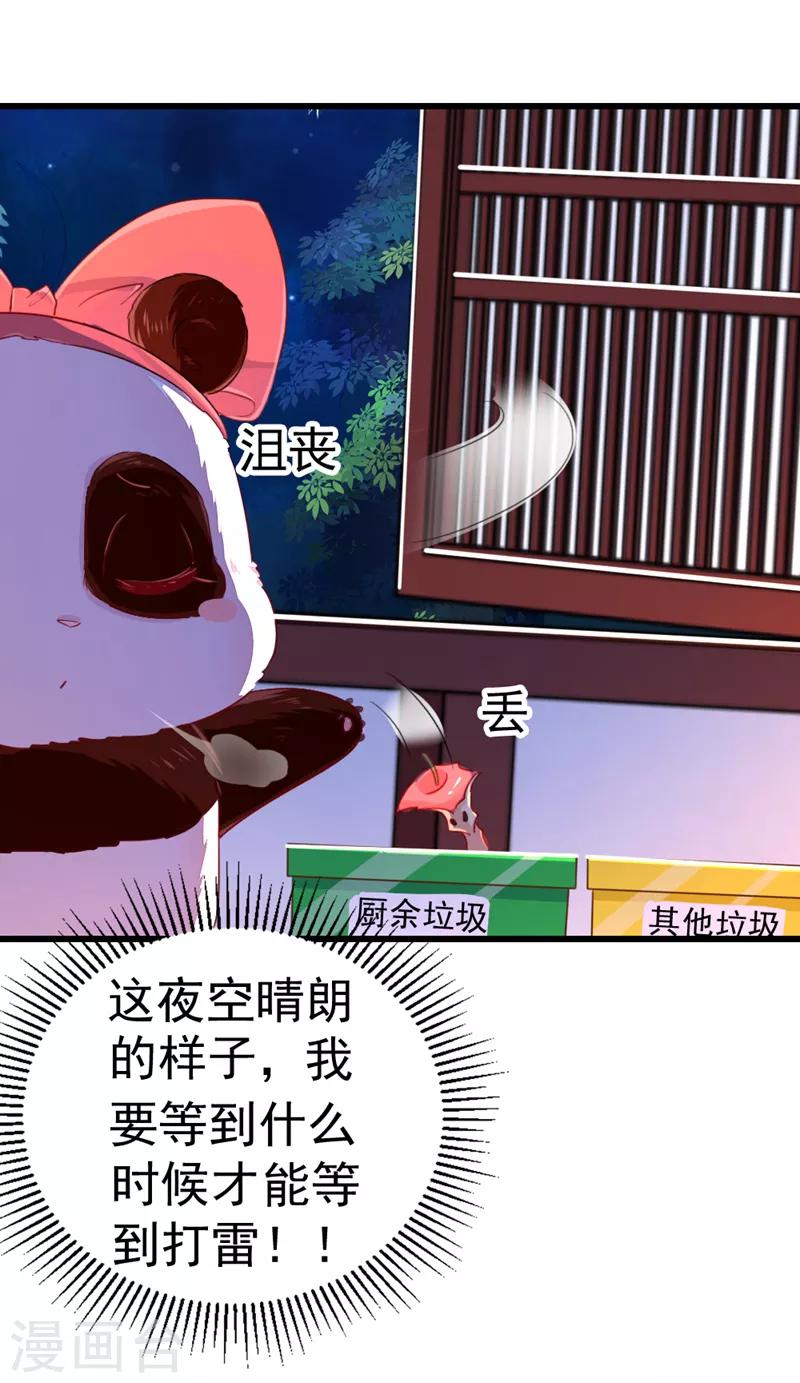 天降萌宝小熊猫：萌妃来袭韩漫全集-第12话 怎么电铲屎官无删减无遮挡章节图片 