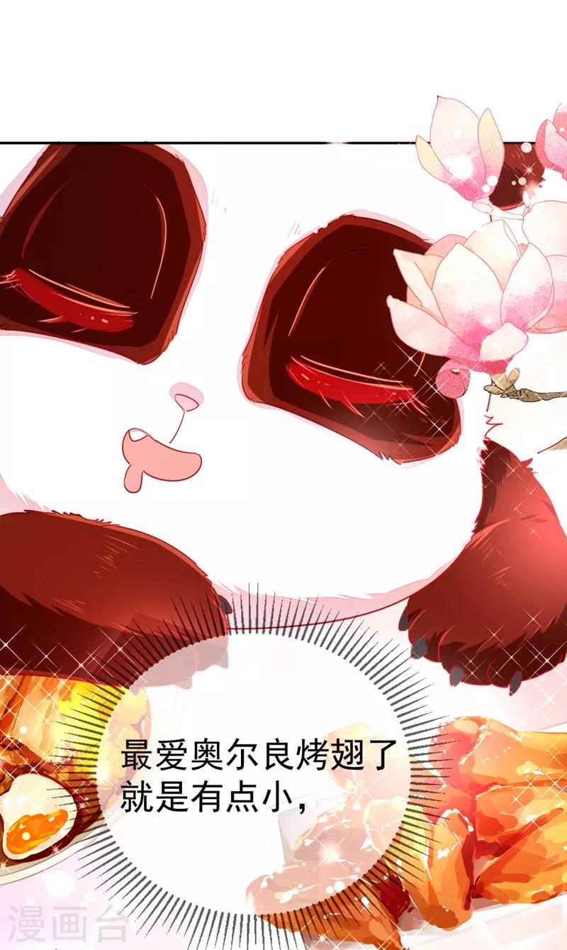 天降萌宝小熊猫：萌妃来袭韩漫全集-第21话 鸡翅有点硬无删减无遮挡章节图片 