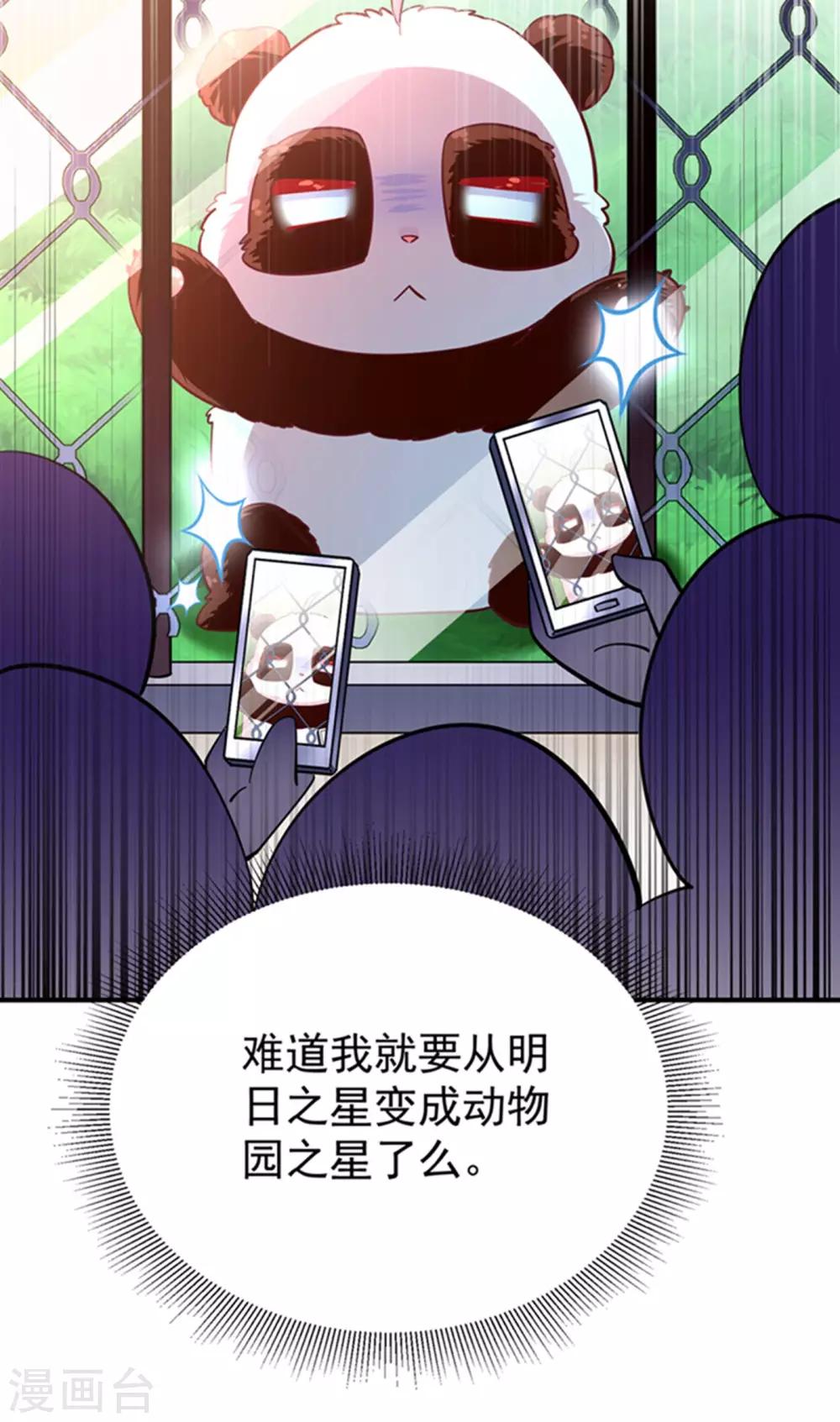 天降萌宝小熊猫：萌妃来袭韩漫全集-现代篇3 是你逼我的！无删减无遮挡章节图片 