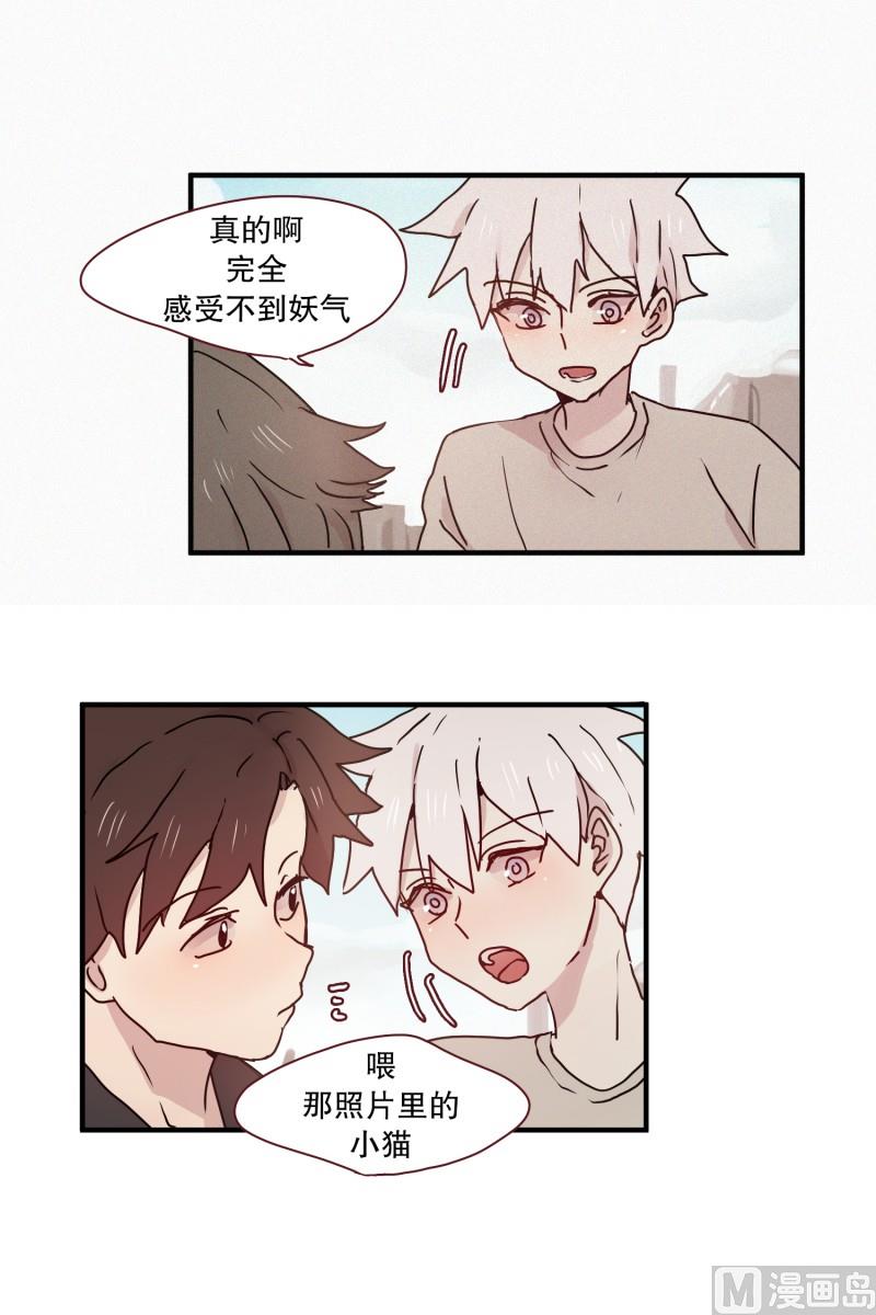 田螺姑娘韩漫全集-59.猫妖（二）无删减无遮挡章节图片 