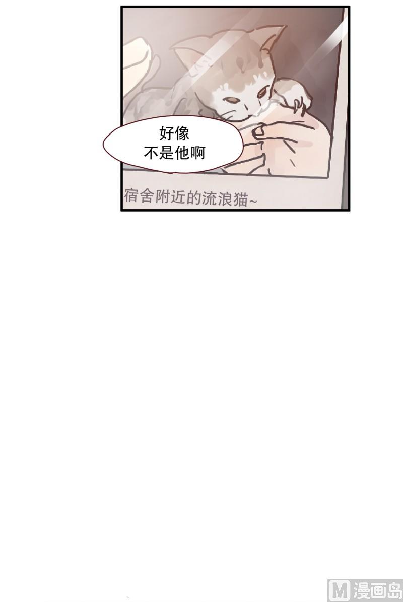 田螺姑娘韩漫全集-59.猫妖（二）无删减无遮挡章节图片 