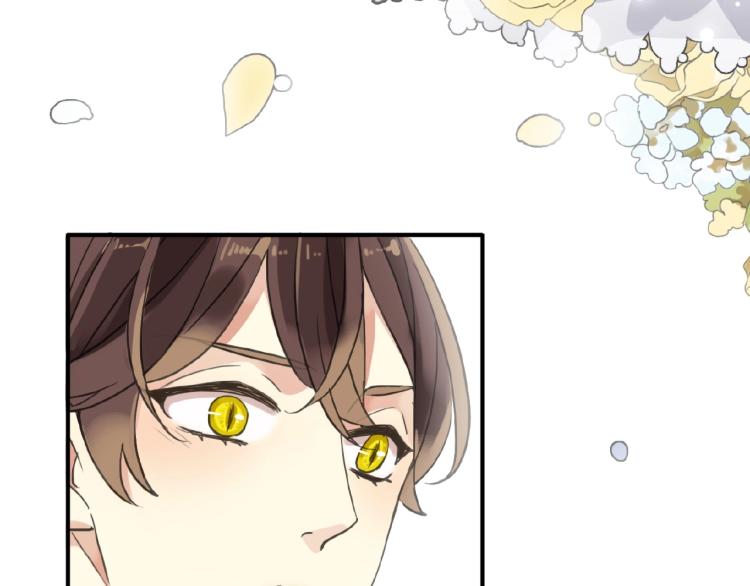 甜美的咬痕韩漫全集-守护篇 第30话 狼人双子星！无删减无遮挡章节图片 