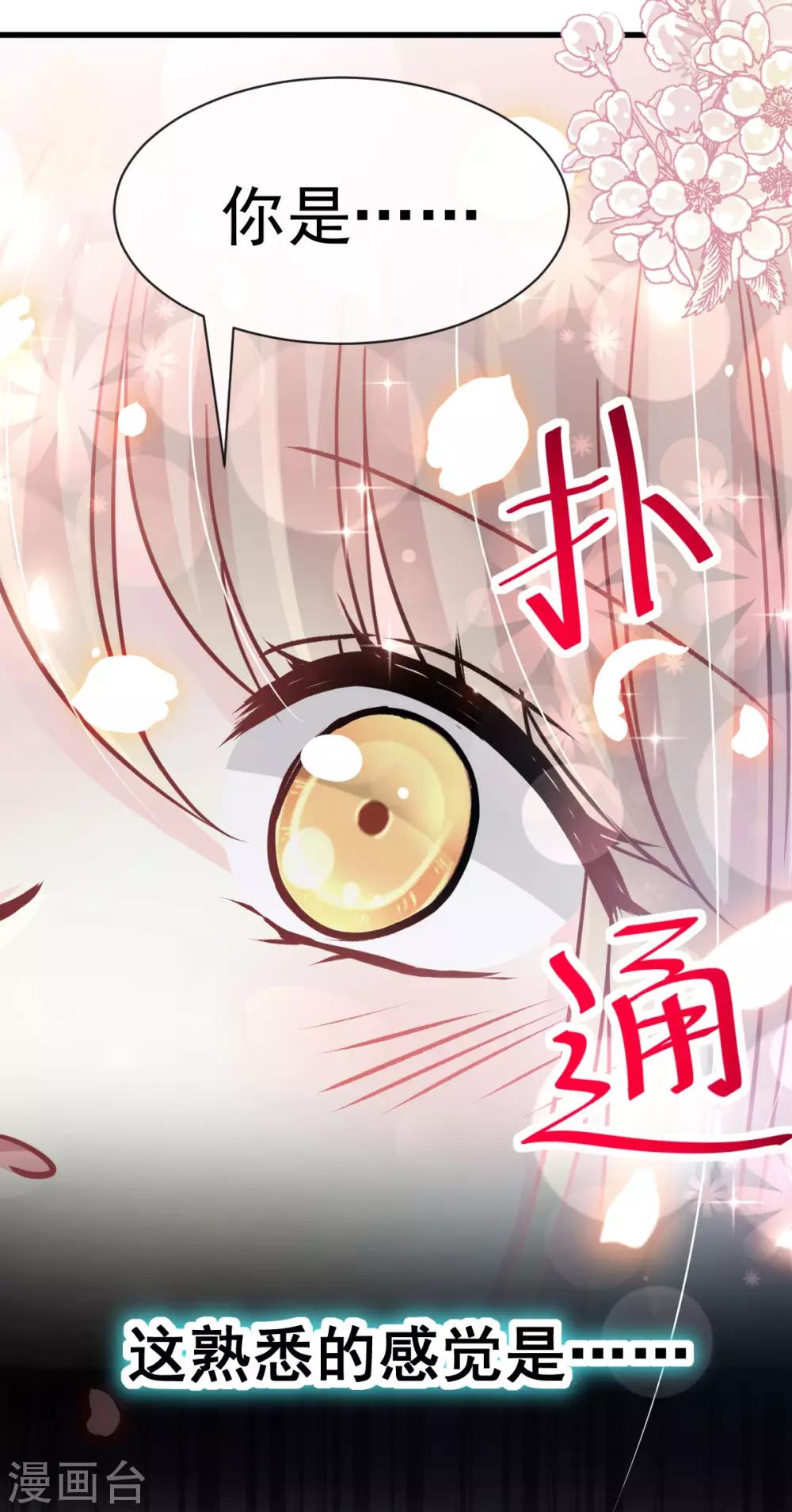 天下第一宠韩漫全集-第144话 再嫁给我一次无删减无遮挡章节图片 