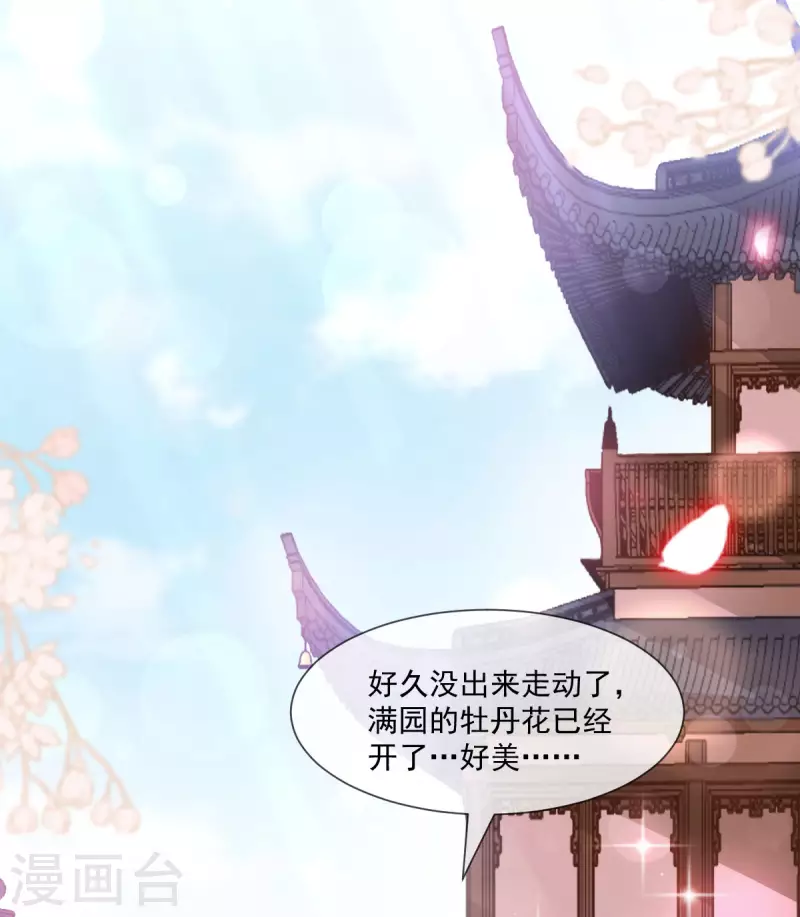 天下第一宠韩漫全集-第206话 箐王的双标无删减无遮挡章节图片 