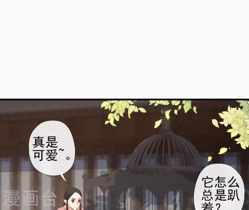 天香美人韩漫全集-第90话 丢失的白狐无删减无遮挡章节图片 