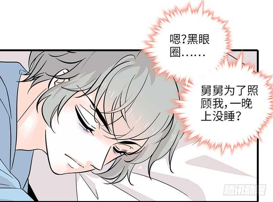 甜心V5：BOSS宠之过急韩漫全集-第123话 芳华最喜欢菊花了无删减无遮挡章节图片 