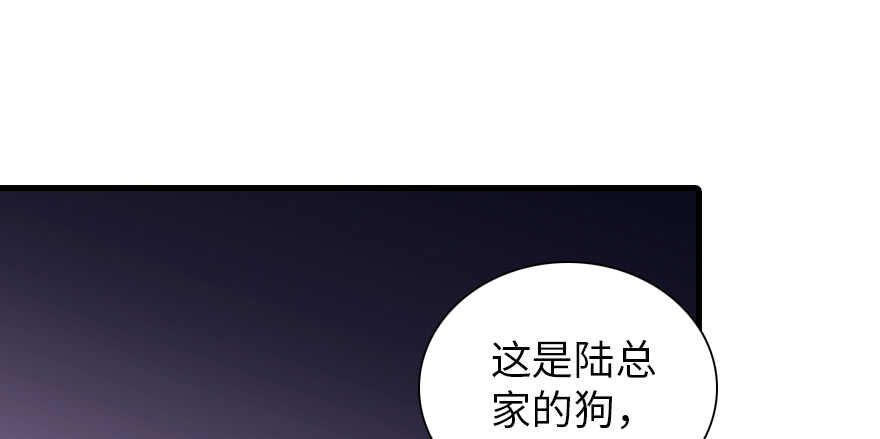 甜心V5：BOSS宠之过急韩漫全集-第194话 受伤无删减无遮挡章节图片 