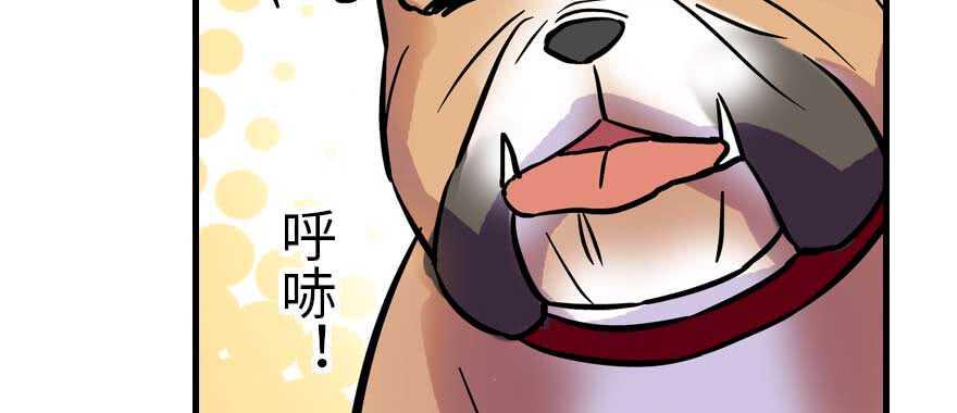 甜心V5：BOSS宠之过急韩漫全集-第196话 岳国新君的求婚无删减无遮挡章节图片 
