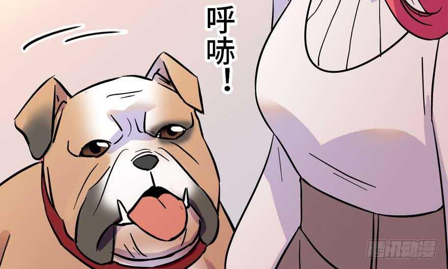 甜心V5：BOSS宠之过急韩漫全集-第196话 岳国新君的求婚无删减无遮挡章节图片 