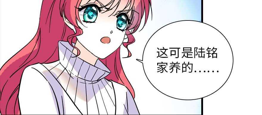 甜心V5：BOSS宠之过急韩漫全集-第196话 岳国新君的求婚无删减无遮挡章节图片 