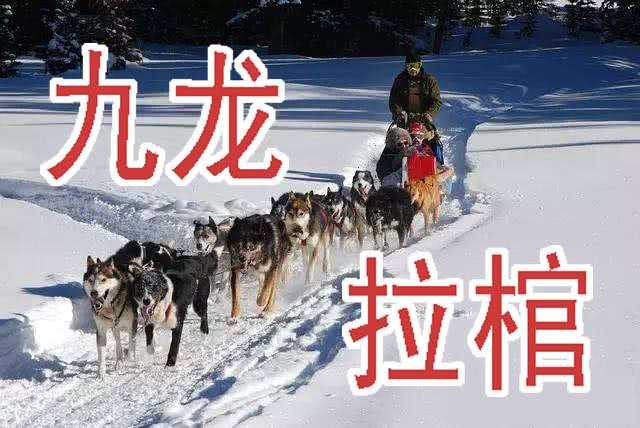 铁姬钢兵韩漫全集-慕小炮无删减无遮挡章节图片 
