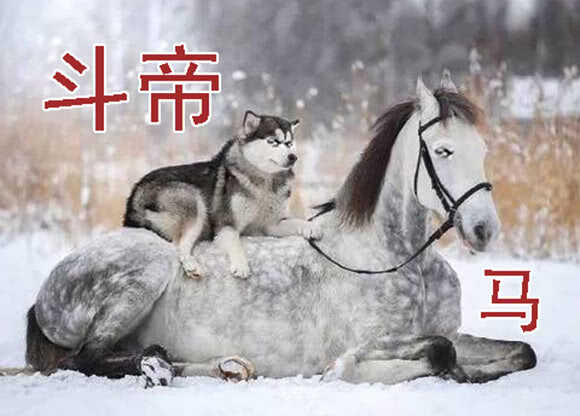 铁姬钢兵韩漫全集-你不是我的学生该多好无删减无遮挡章节图片 
