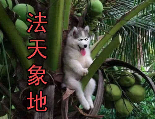 铁姬钢兵韩漫全集-神尸战体无删减无遮挡章节图片 