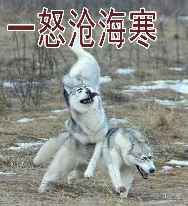 铁姬钢兵韩漫全集-恶龙已死，唯我最强无删减无遮挡章节图片 