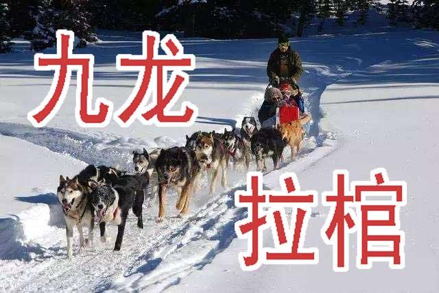 铁姬钢兵韩漫全集-周五六七连更无删减无遮挡章节图片 