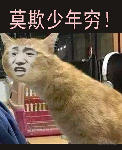 铁姬钢兵韩漫全集-御林军无删减无遮挡章节图片 