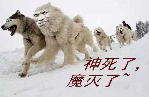 铁姬钢兵韩漫全集-熊姐潜力多深？无删减无遮挡章节图片 