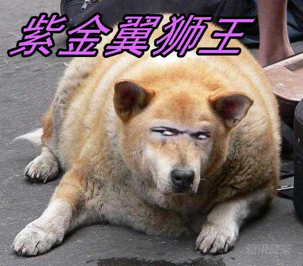 铁姬钢兵韩漫全集-不该出手不出手无删减无遮挡章节图片 