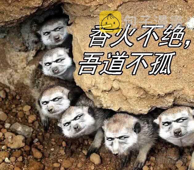 铁姬钢兵韩漫全集-铁水刑无删减无遮挡章节图片 