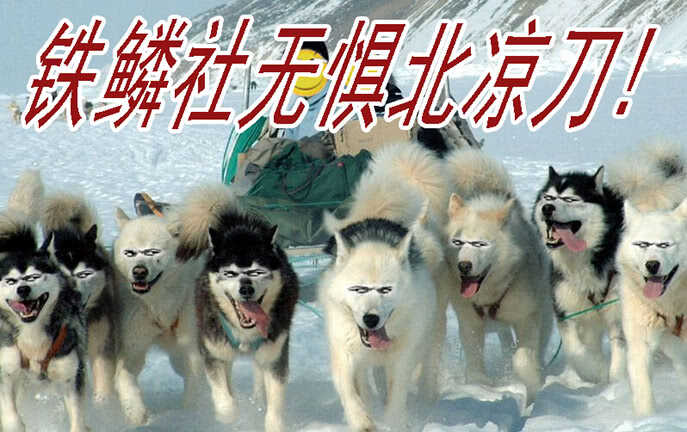 铁姬钢兵韩漫全集-达瓦里格勒无删减无遮挡章节图片 
