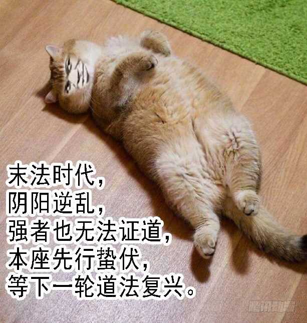 铁姬钢兵韩漫全集-江山依旧无删减无遮挡章节图片 