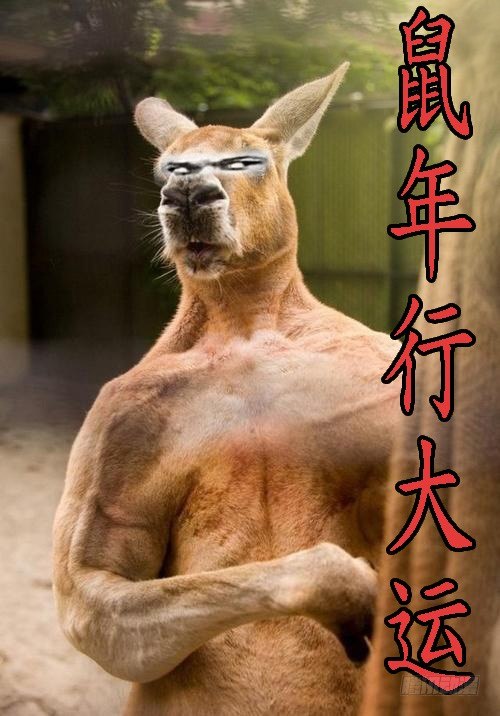 铁姬钢兵韩漫全集-新年公告无删减无遮挡章节图片 