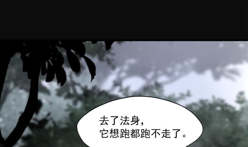 剃头匠韩漫全集-第209话 红娘子 5无删减无遮挡章节图片 