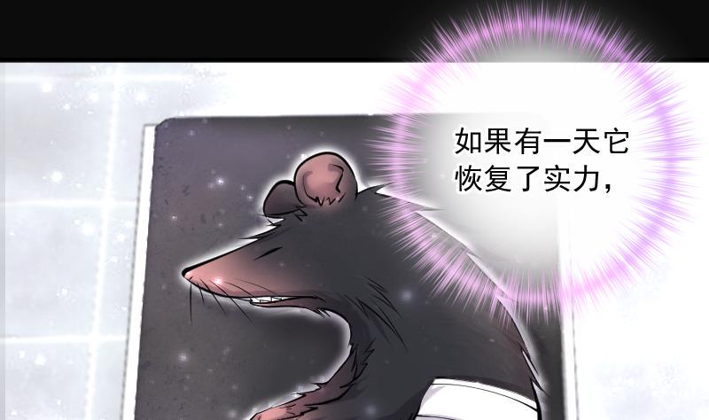 剃头匠韩漫全集-第271话 鼠妖的秘密 1无删减无遮挡章节图片 