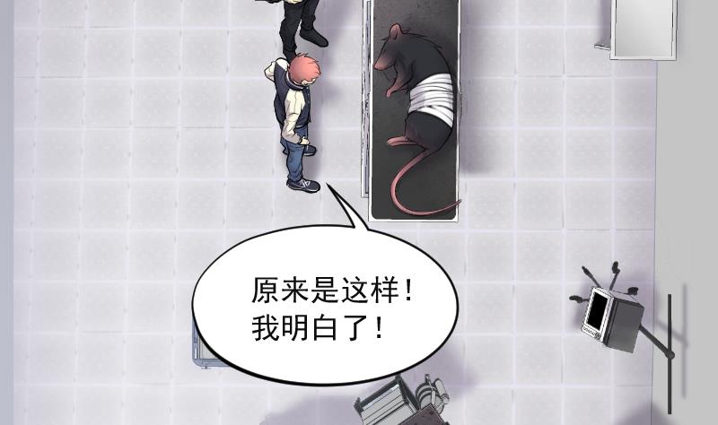 剃头匠韩漫全集-第271话 鼠妖的秘密 1无删减无遮挡章节图片 