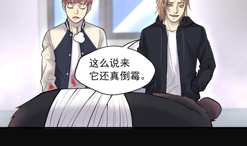 剃头匠韩漫全集-第271话 鼠妖的秘密 1无删减无遮挡章节图片 