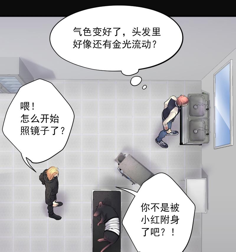 剃头匠韩漫全集-第271话 鼠妖的秘密 1无删减无遮挡章节图片 