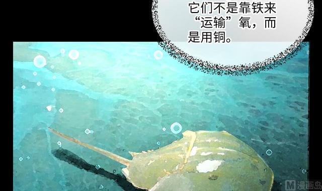 剃头匠韩漫全集-第353话 落惊发 2无删减无遮挡章节图片 
