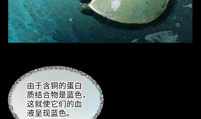 剃头匠韩漫全集-第353话 落惊发 2无删减无遮挡章节图片 