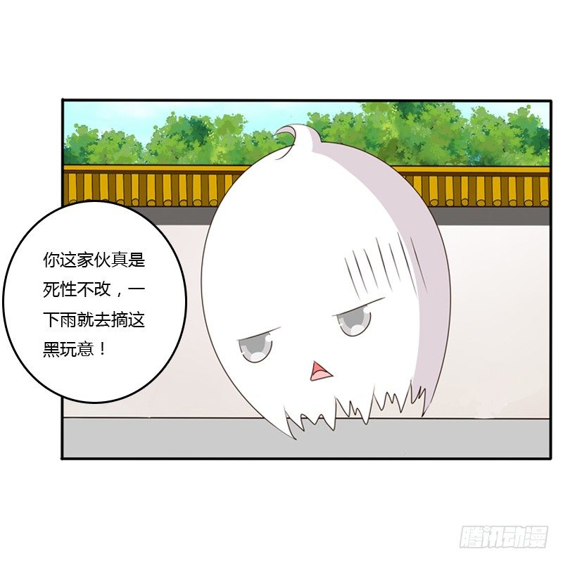 通灵妃韩漫全集-玉子墨来访无删减无遮挡章节图片 