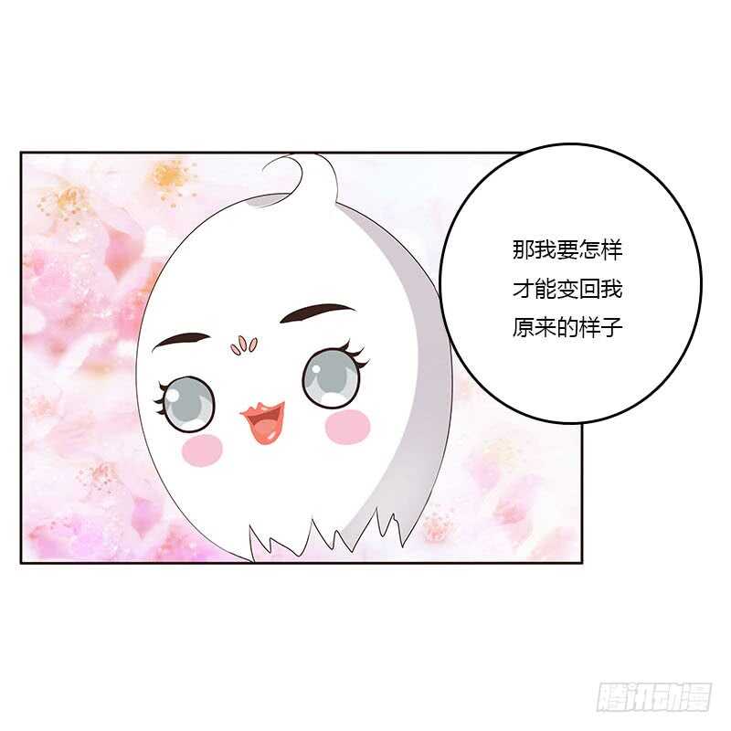 通灵妃韩漫全集-本来面目无删减无遮挡章节图片 
