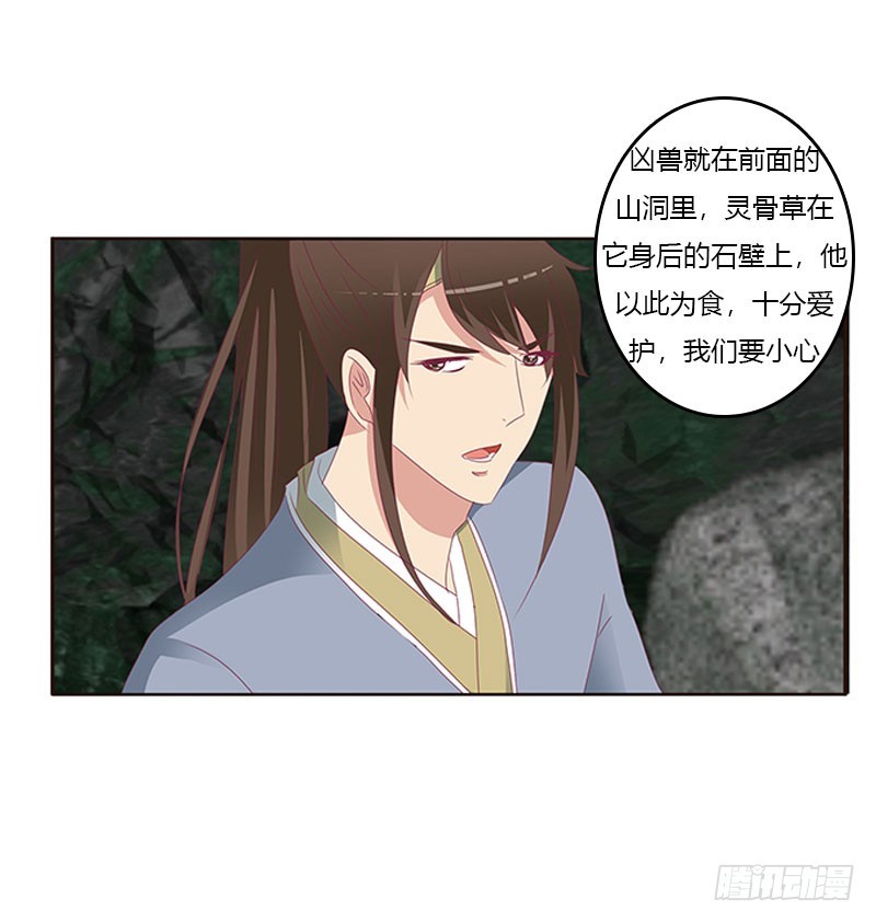 通灵妃韩漫全集-灵骨草无删减无遮挡章节图片 