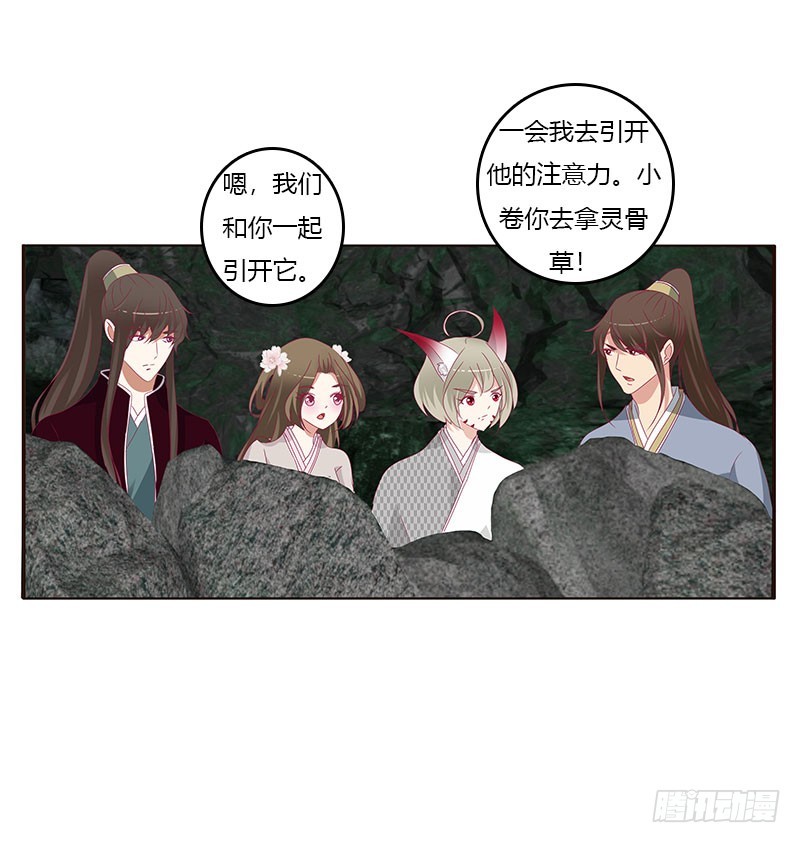 通灵妃韩漫全集-灵骨草无删减无遮挡章节图片 