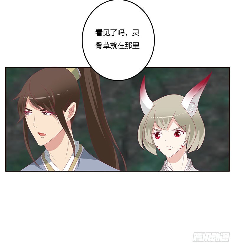 通灵妃韩漫全集-灵骨草无删减无遮挡章节图片 