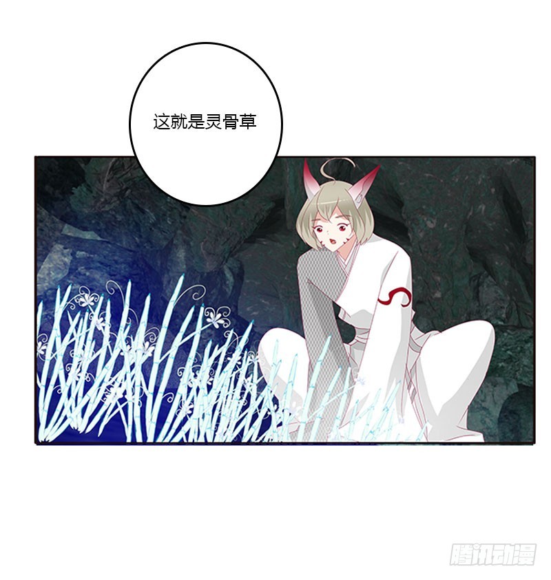 通灵妃韩漫全集-灵骨草无删减无遮挡章节图片 