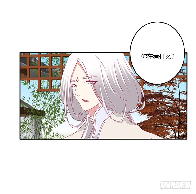 通灵妃韩漫全集-本君很不爽无删减无遮挡章节图片 