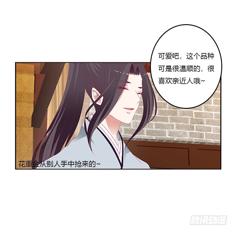 通灵妃韩漫全集-玉子墨的礼物无删减无遮挡章节图片 