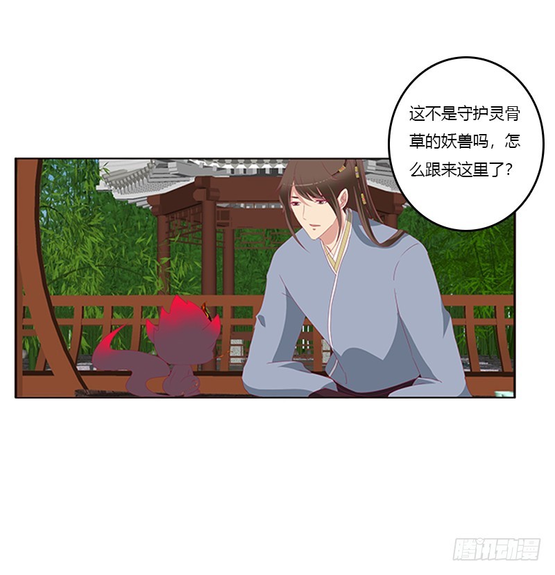 通灵妃韩漫全集-别离无删减无遮挡章节图片 