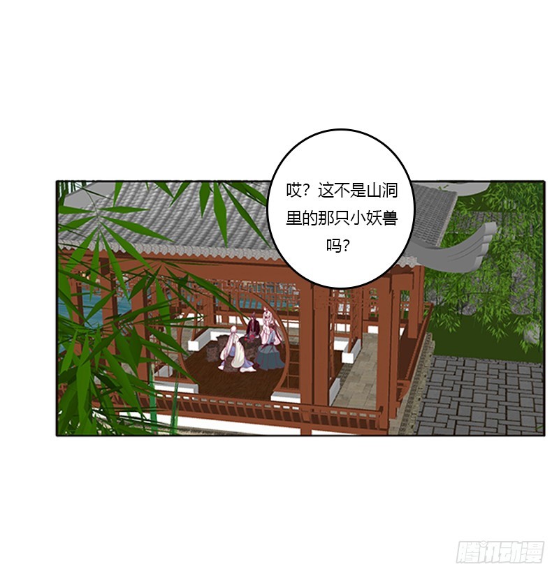 通灵妃韩漫全集-别离无删减无遮挡章节图片 