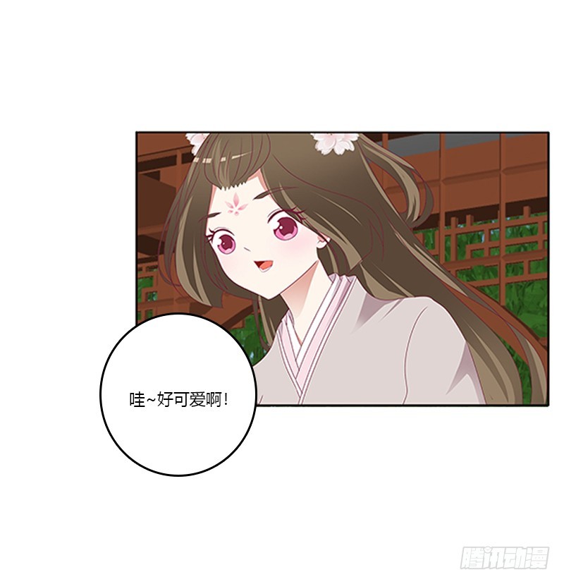 通灵妃韩漫全集-别离无删减无遮挡章节图片 
