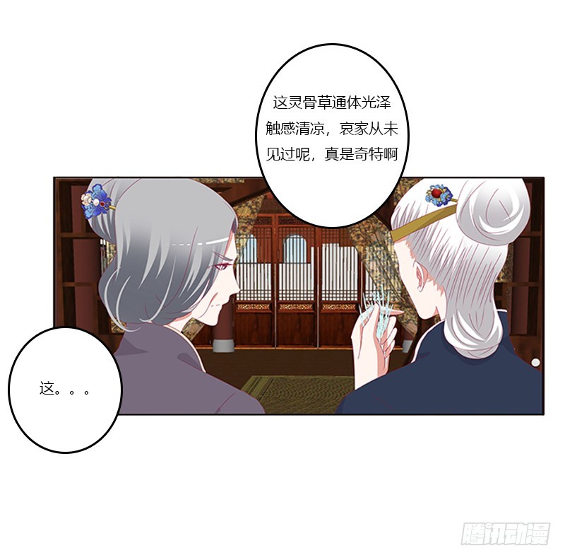通灵妃韩漫全集-你凶我！无删减无遮挡章节图片 