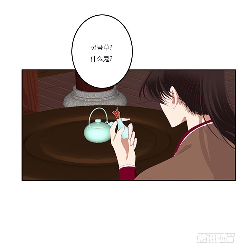 通灵妃韩漫全集-你凶我！无删减无遮挡章节图片 