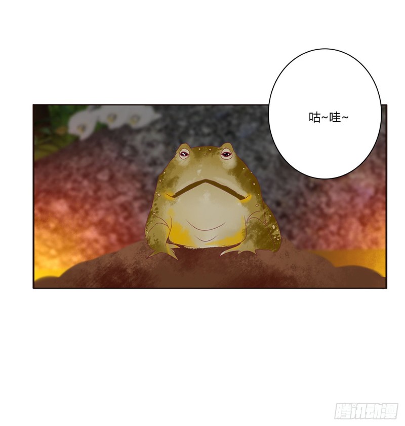通灵妃韩漫全集-跟我来无删减无遮挡章节图片 