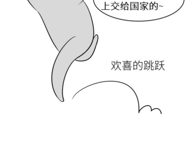 同学关系？韩漫全集-番外篇1 白鹿的球去哪儿了？无删减无遮挡章节图片 