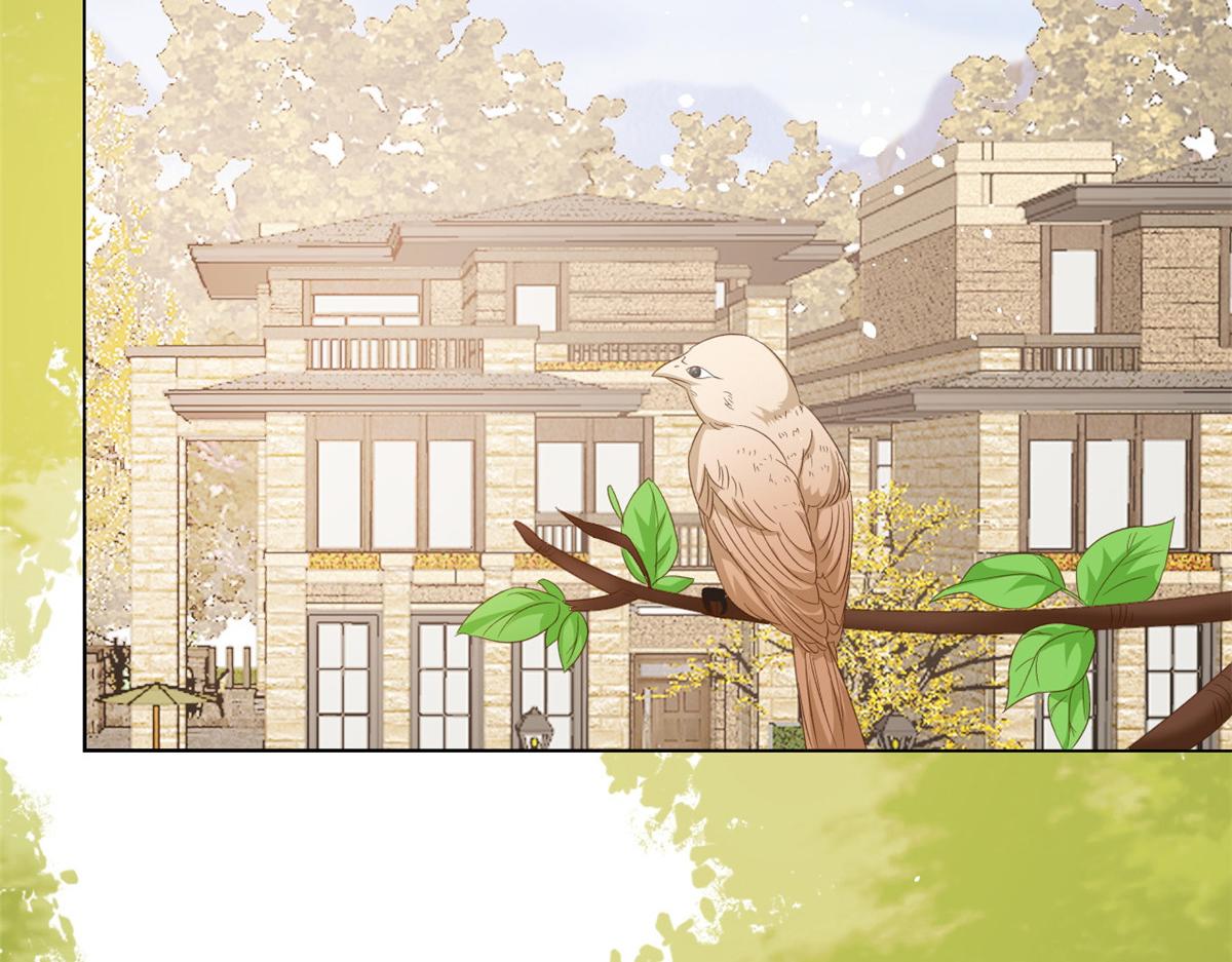 团宠大佬三岁半韩漫全集-第86话 超级土豪出没！无删减无遮挡章节图片 
